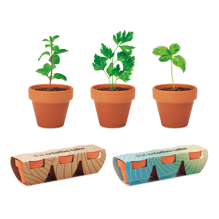 Set de 3 macetas personalizadas